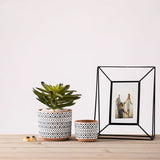 Ceramic Nordic-Style Geometric Flower Pots