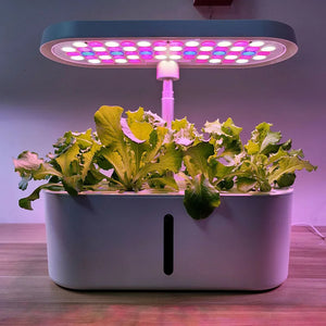 Smart LED Hydroponic Indoor Garden Kit – 8-Pod Plant Nursery System