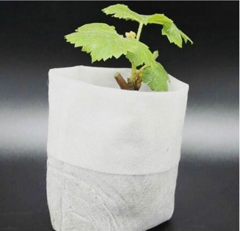 Non-Woven Seedling Bag – Breathable Nursery Grow Bag for Home & Balcony Gardening