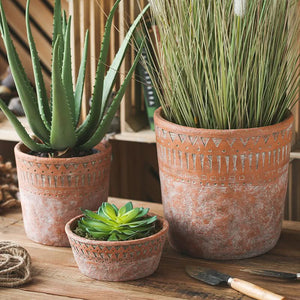Authentic Berber Terracotta Pot – Handcrafted North African Clay Planter for Indoor & Outdoor Gardens