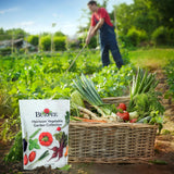 Heirloom Vegetable Plant Seeds (35 Variety Pack), Non-Gmo, Annual Lifecycle, Full Sun