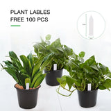 100-Pack 0.5 Gallon Plant Nursery Pots, Plastic Pots for Flower Seedling, Flower Plant Container Seed Starting Pot, Come with 100 Pcs Plant Labels