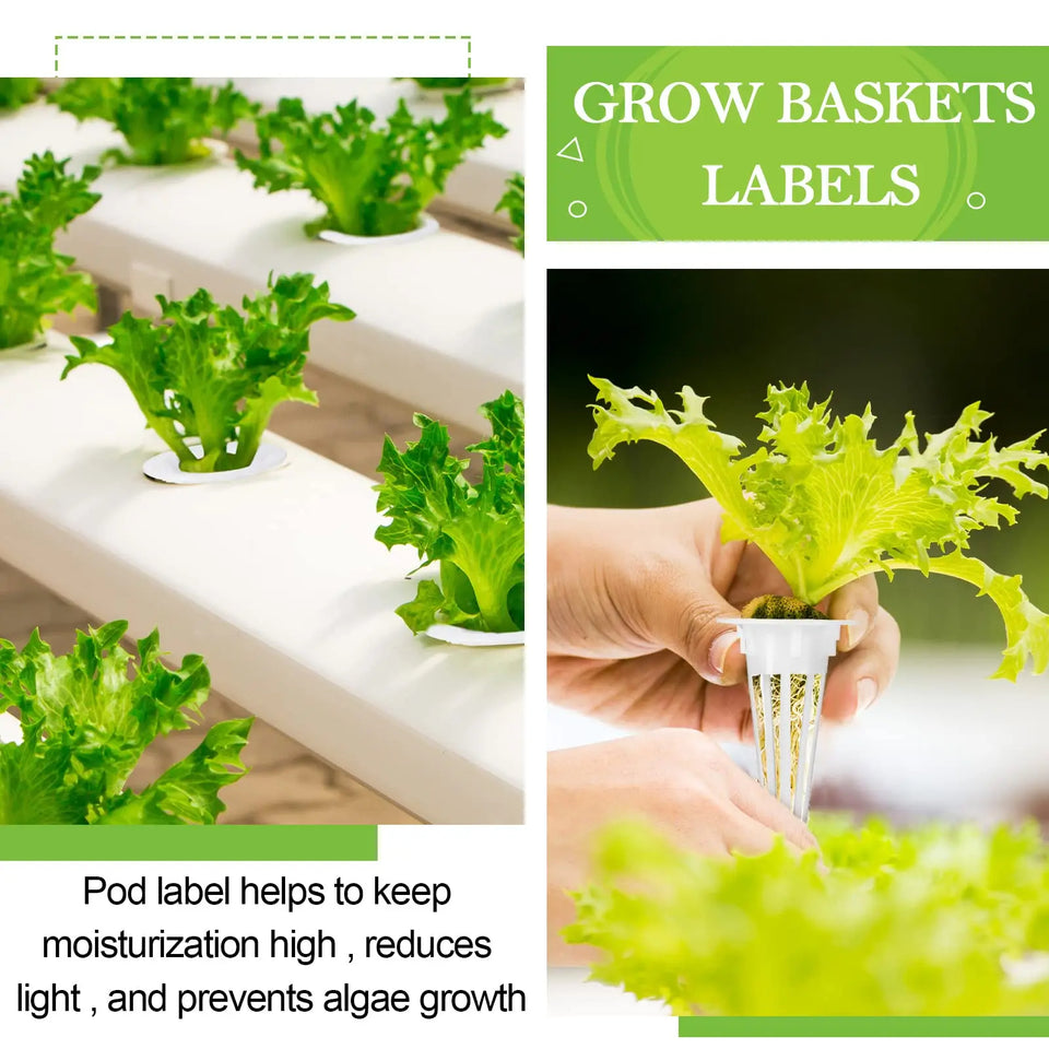 120pcs Hydroponic Pod Kit – Includes Grow Baskets, Transparent Insulation Lids, Grow Sponges & Labels – Indoor Hydroponic Garden Accessories for Seed Starting & Plant Growth