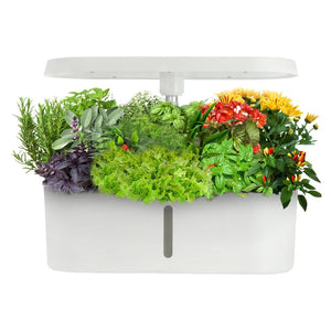 Smart LED Hydroponic Indoor Garden Kit – 8-Pod Plant Nursery System