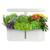 Smart LED Hydroponic Indoor Garden Kit – 8-Pod Plant Nursery System