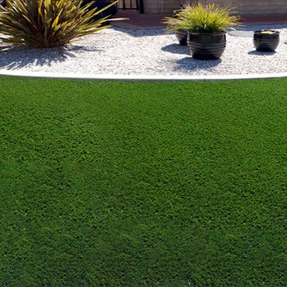 Biodegradable Grass Seed Mat Horticultural Lawn Seed Blanket Non-woven