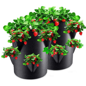 Multi-Mouth Grow Bag 5/7/10 Gallonen Erdbeer-Tomaten-Pflanzbeutel