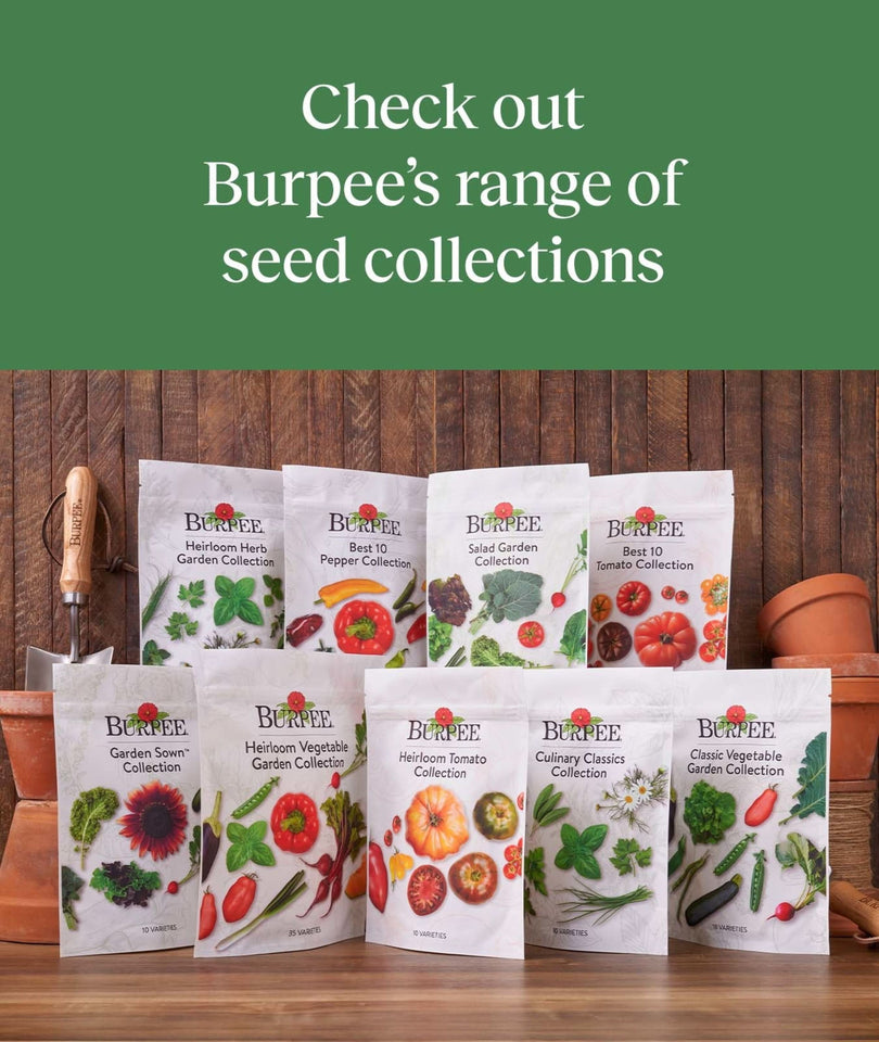 Heirloom Vegetable Plant Seeds (35 Variety Pack), Non-Gmo, Annual Lifecycle, Full Sun