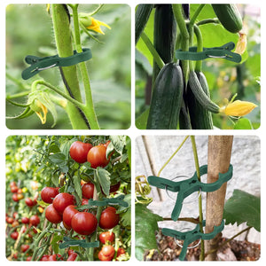 50Pcs Plant Support Clips, Garden Clips for Supporting Stems, Vines, Green