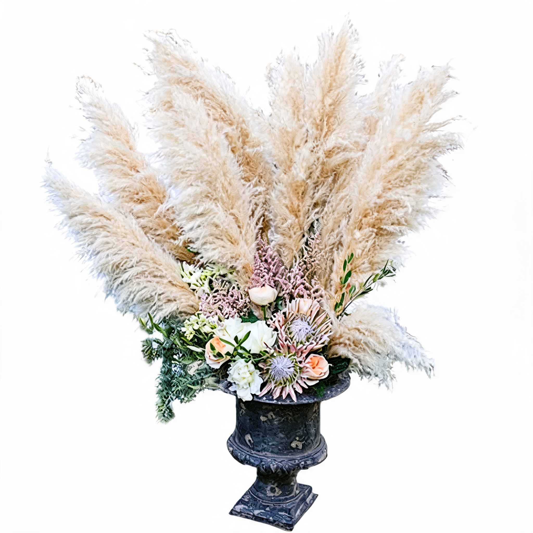 PAMPAS Seeds Are Cold-resistant For Many Years Ornamental Grasses