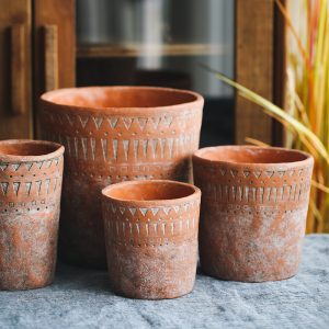 Berber earthenware cultivation in vintage terracotta pots