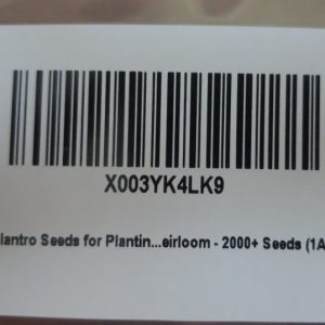 Culantro (Recao) Seeds