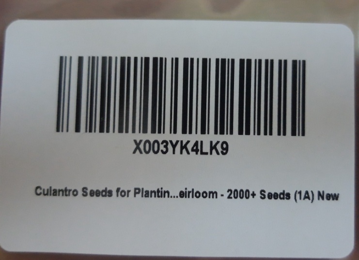 Culantro (Recao) Seeds