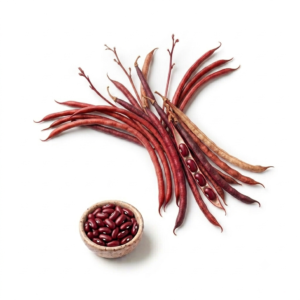 Four Seasons Vegetable Seeds Family Garden Balcony