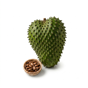 222 Pack Fresh Soursop Seeds (Guanabana Seeds)