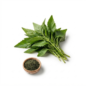 2000 Egyptian Spinach Seeds (Molokhia Seeds)