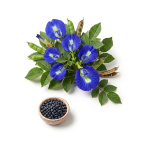 Clitoria Ternatea Seeds | Butterfly Pea Flower Seeds