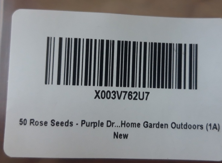purple rose seeds