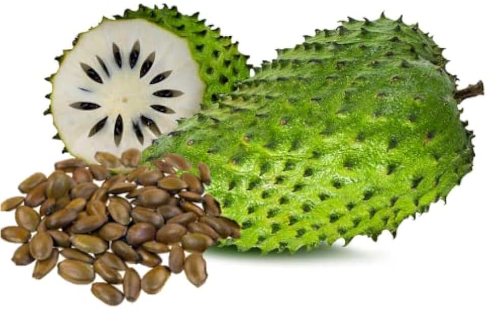 Soursop Seeds