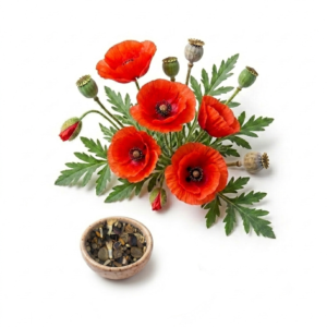 Flower Seeds Are Sown And Blooming In Four Seasons